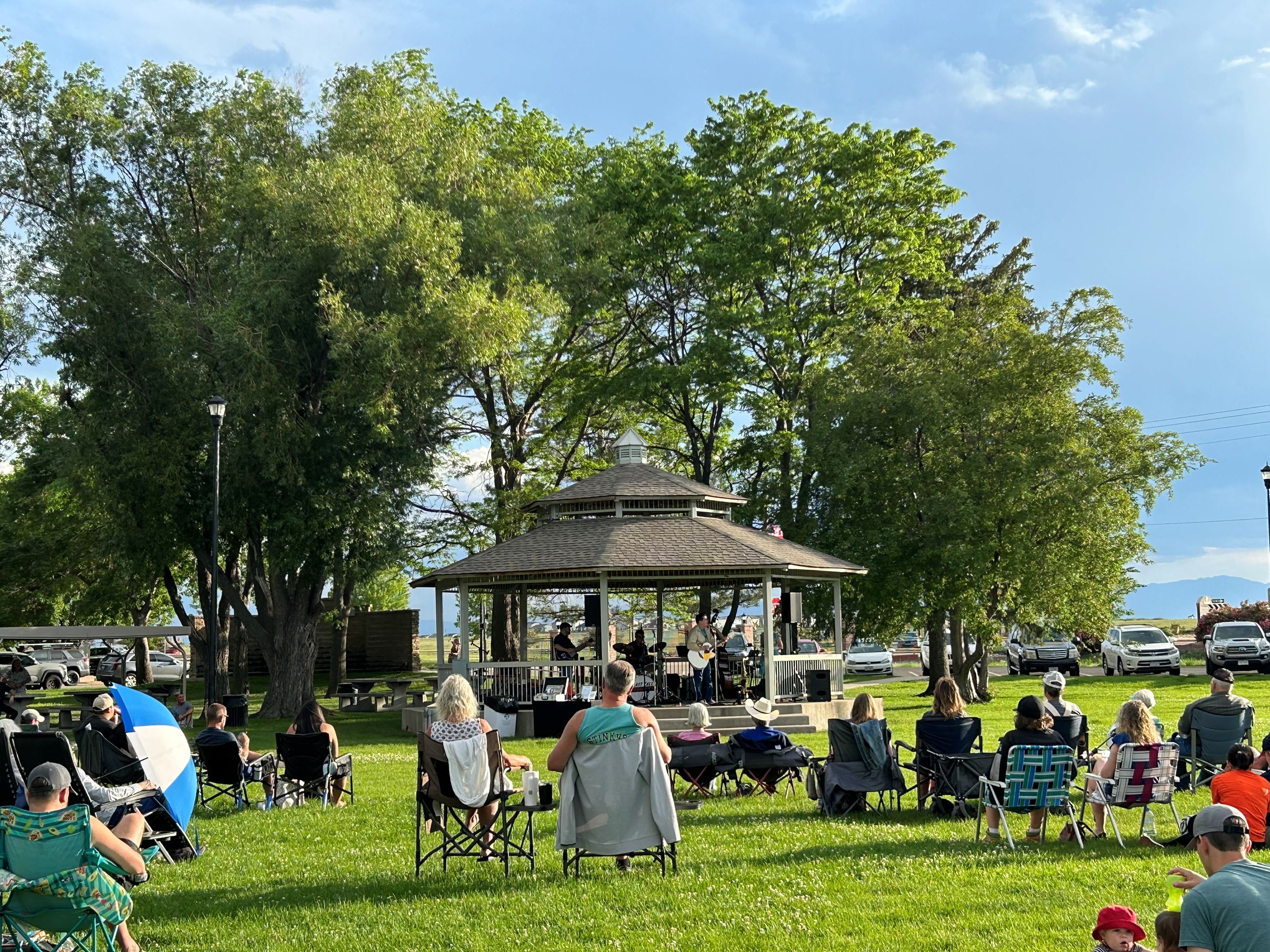 A group of people watching a concert in a park