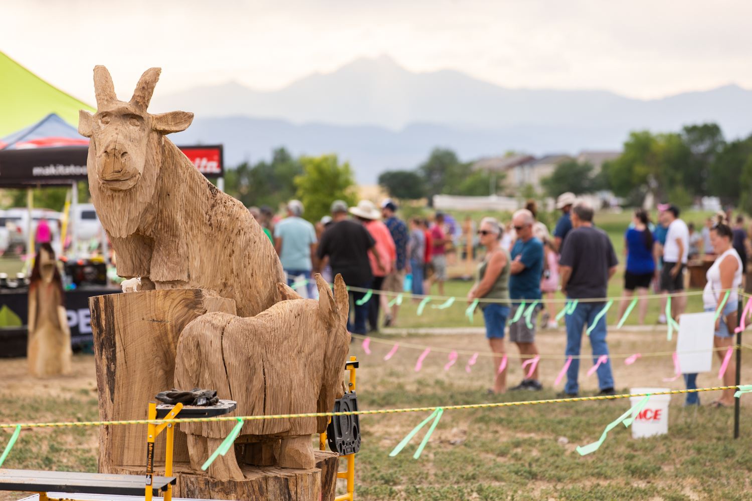 A wood carving of two rams on the left side of the image and mountains in the background.