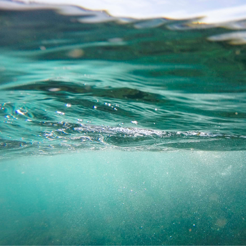 An underwater perspective showing ripples and light reflections on the water surface.