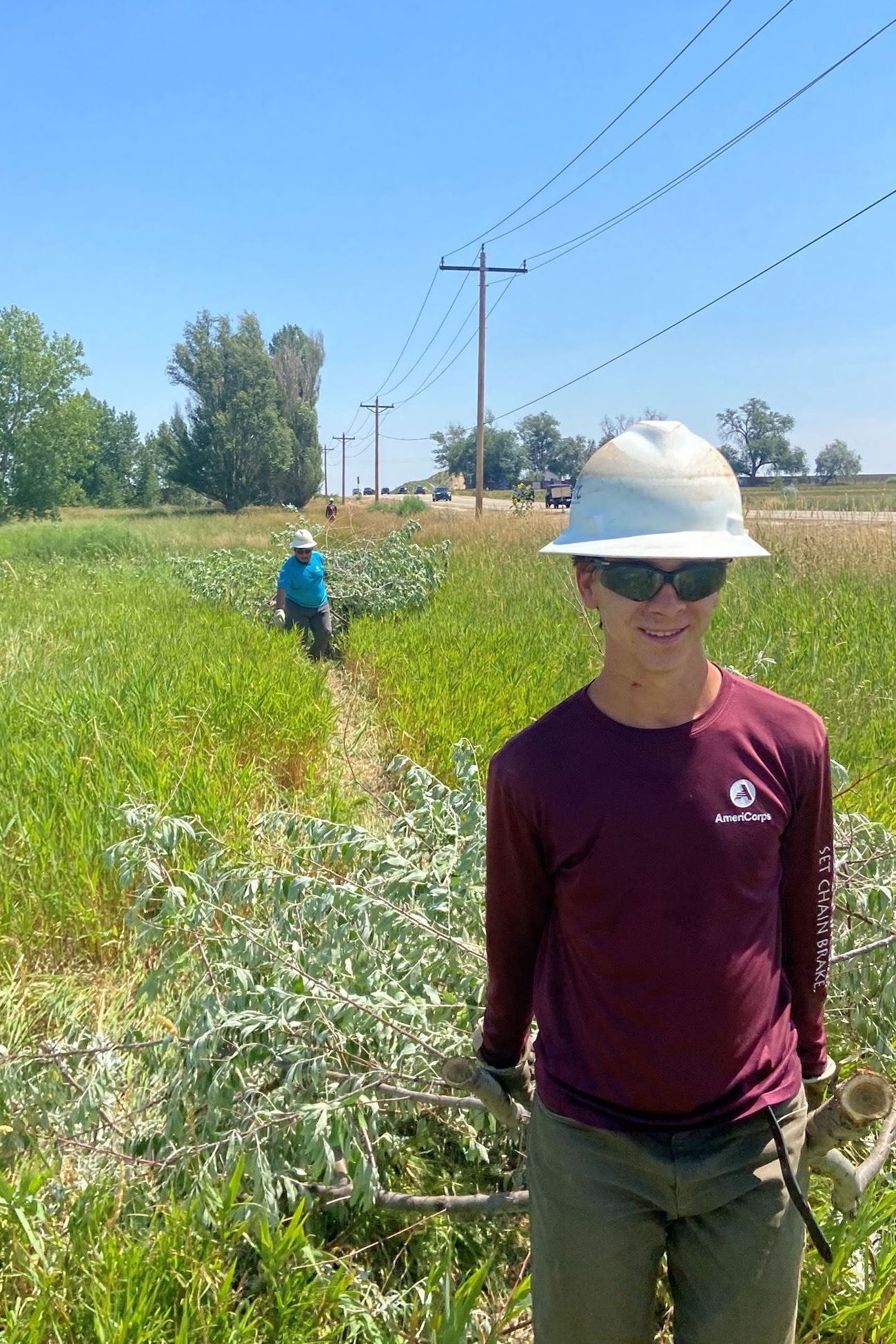 Person wearing a hard hat carrying cut tree branches through tall grass near a roadside.